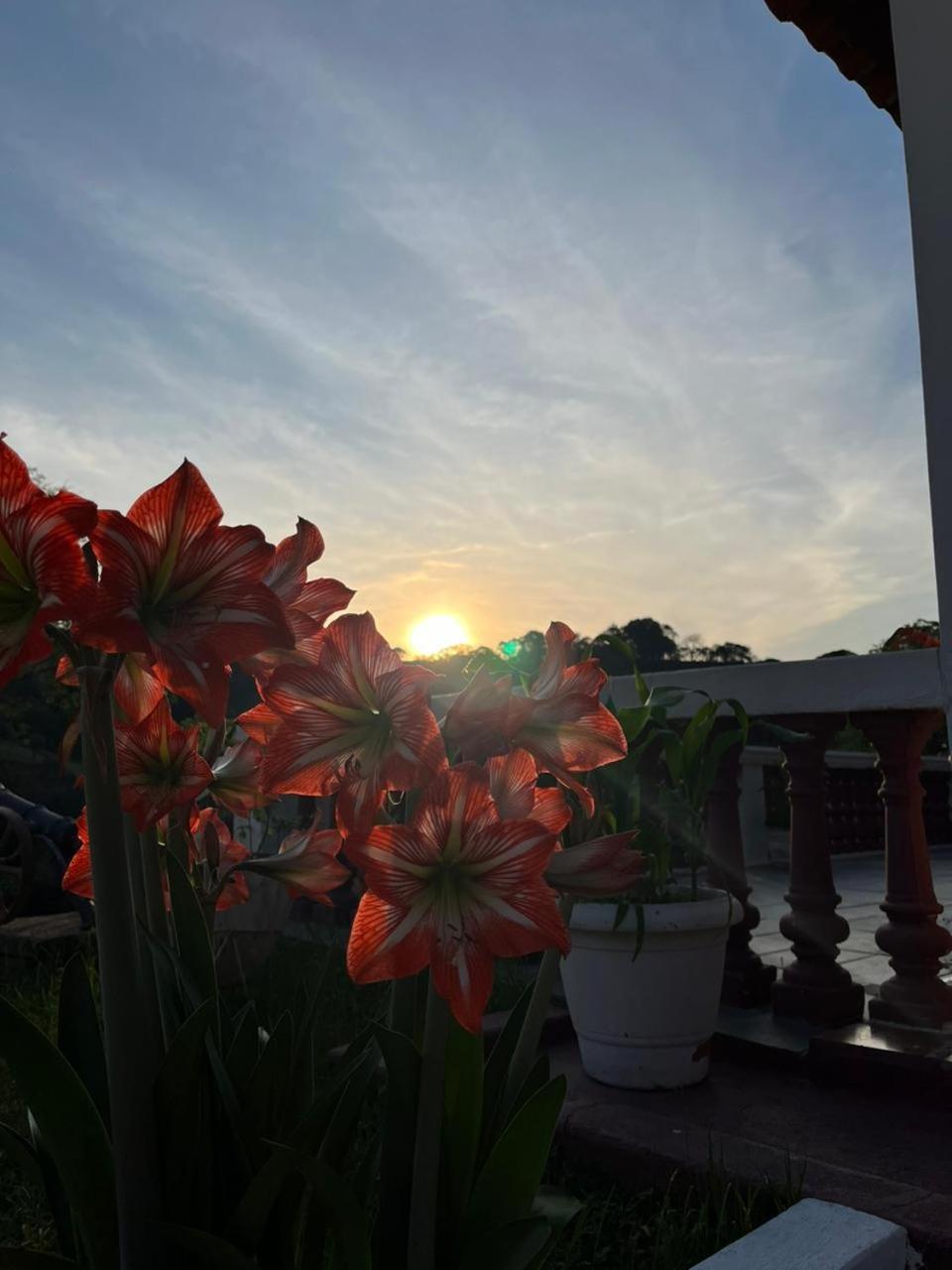 Pousada Pedacinho Do Ceu Suite Izah กุนญา ภายนอก รูปภาพ